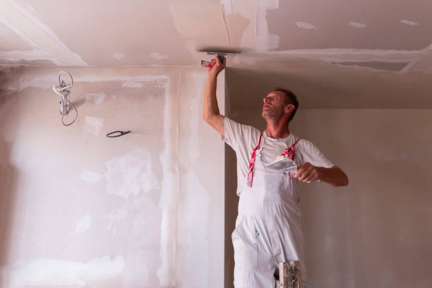 Best Ceiling Drywall Installation  in Hornell, NY